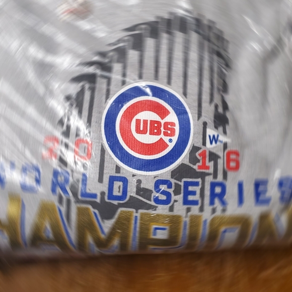 NIB - Fanatics Chicago Cubs Gray World Series Champions Hoodie. 1-3XLT - Picture 5 of 7